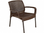 DEFNE RATTAN PLASTİK KOLTUK METAL AYAK